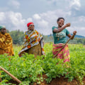 How Subsistence Farming and Agriculture Support the World’s Most Resilient Communities